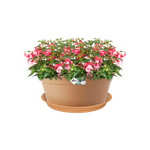 green basics soucoupe 45cm terre cuite doux